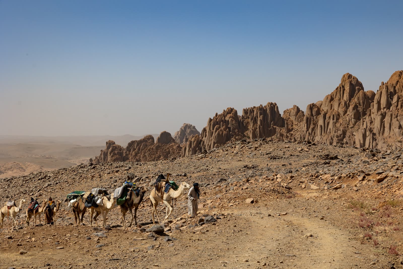 Hoggar (Atakor) Camel Trek